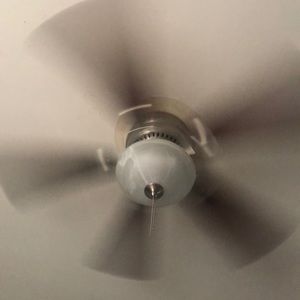 Meet your Posher, Dennis